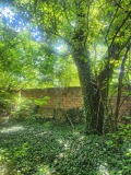 Продава КЪЩА, област Велико Търново, с. Ресен • 22500 € • 59844990 — Holmes.bg