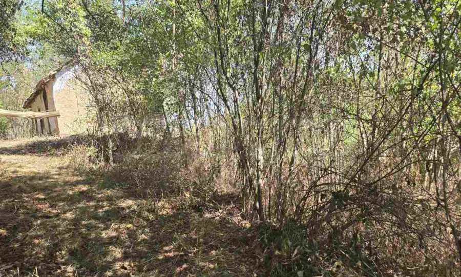 Продава ПАРЦЕЛ | Imot.bg — изображение 3