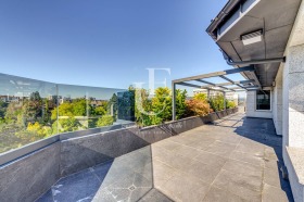 ����� ������� �������,���� �����, �����