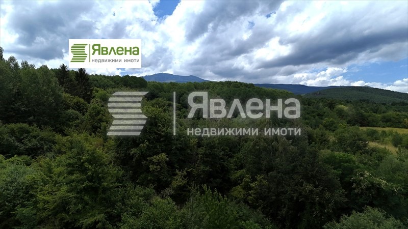 Продава  Къща град София , с. Бистрица , 367 кв.м | 41941692 - изображение [13]
