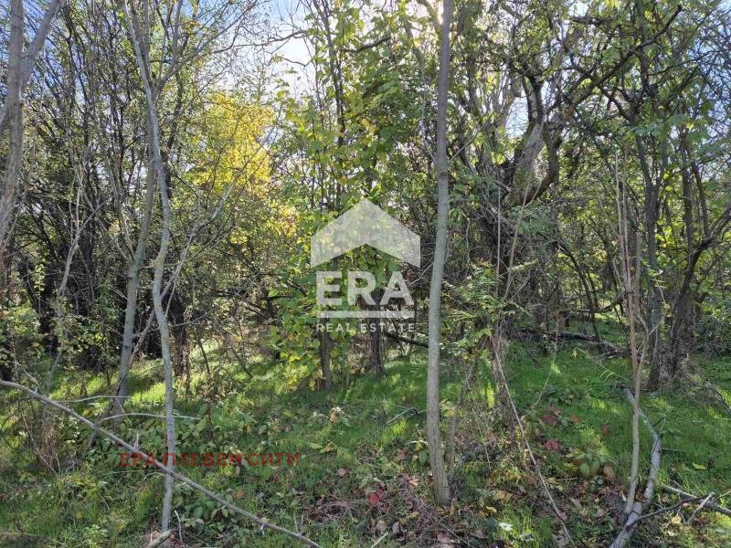 Продава КЪЩА, с. Коиловци, област Плевен, снимка 5 - Къщи - 52380328