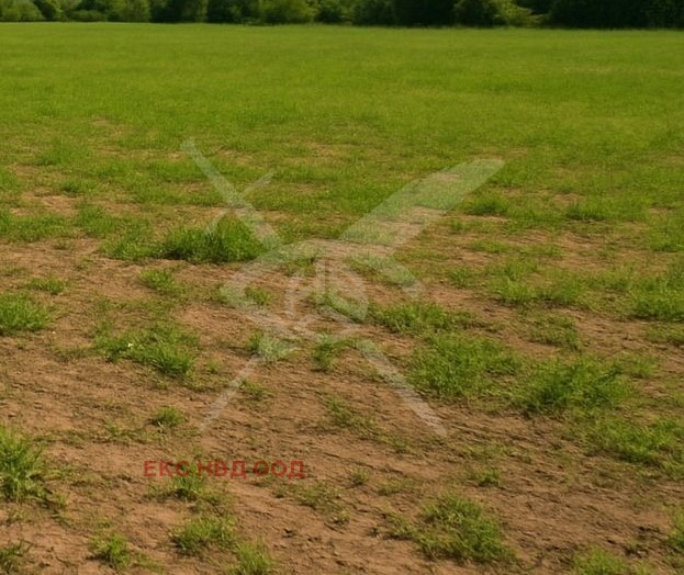 Продава ПАРЦЕЛ, област Пловдив, с. Войводиново • 375000 € • 83106666 — Holmes.bg