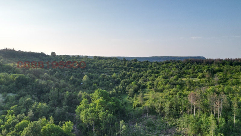 Продава ПАРЦЕЛ, с. Арбанаси, област Велико Търново, снимка 2 - Парцели - 52782162