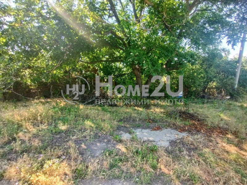 For Sale  Plot region Varna , Cherventsi , 1600 sq.m | 13273196 - image [2]