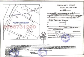 ����� ������� ������,���� �������, ������������ ���� - ��