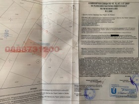 ����� ������� ������,���� �������, ������������ ���� - ��>