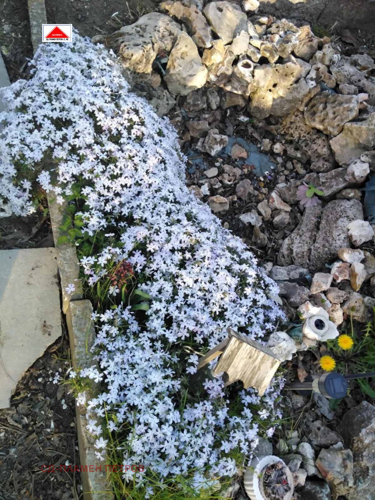 ������� ���� | Imot.bg � ����������� 5