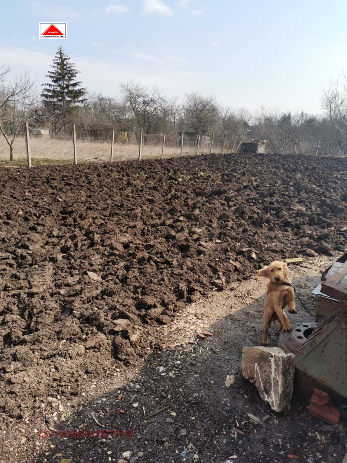 ������� ���� | Imot.bg � ����������� 4