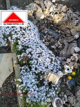 ������� ���� | Imot.bg � ����� ������ 5