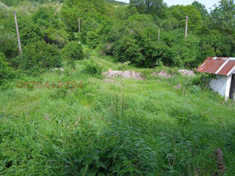 Til salgs  Hus region Sofia , Dragoman , 348 kvm | 96776877 - bilde [4]
