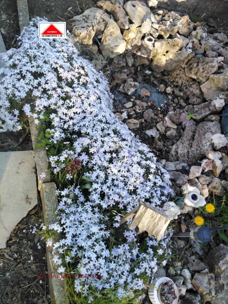 Продава ВИЛА, гр. Шумен, м-т Под Манастира, снимка 5 - Вили - 53198344