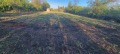 Продава ПАРЦЕЛ, с. Самоводене, област Велико Търново, снимка 3