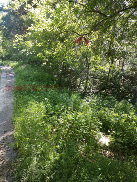 ������� ������ | Imot.bg � ����� ������ 11