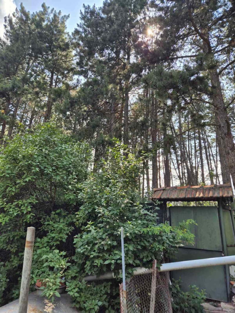 Til salgs  Hus Sofia , Podgumer , 36 kvm | 18405345 - bilde [4]