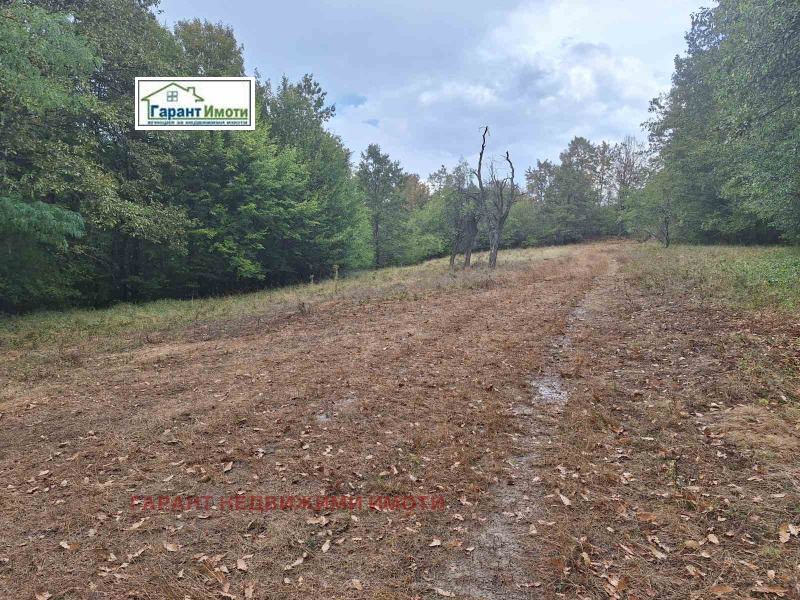 For Sale  Plot region Gabrovo , Tryavna , 580 sq.m | 64646456 - image [2]