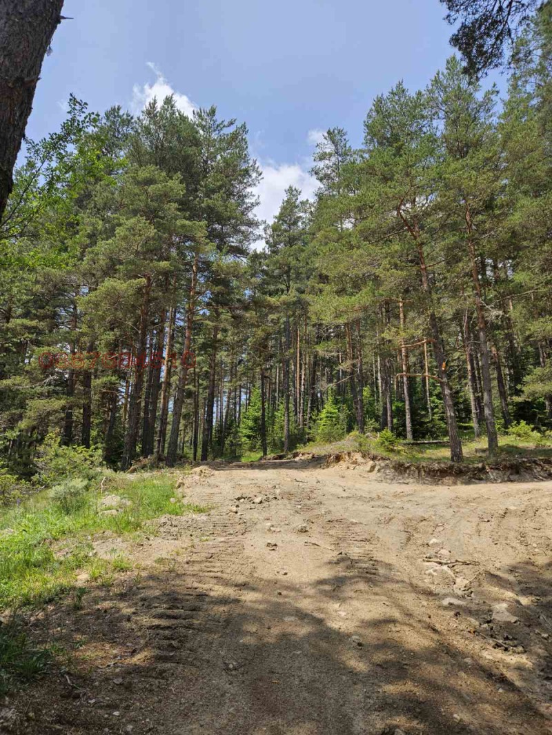 Продава ЗЕМЕДЕЛСКА ЗЕМЯ, с. Славовица, област Пазарджик