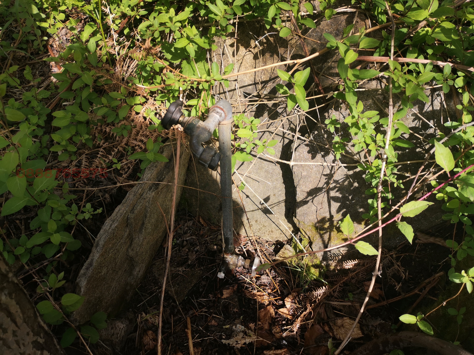 Продава ПАРЦЕЛ, с. Бойково, област Пловдив, снимка 7 - Парцели - 55036887