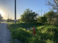 Продава ПАРЦЕЛ, гр. Козлодуй, област Враца, снимка 3