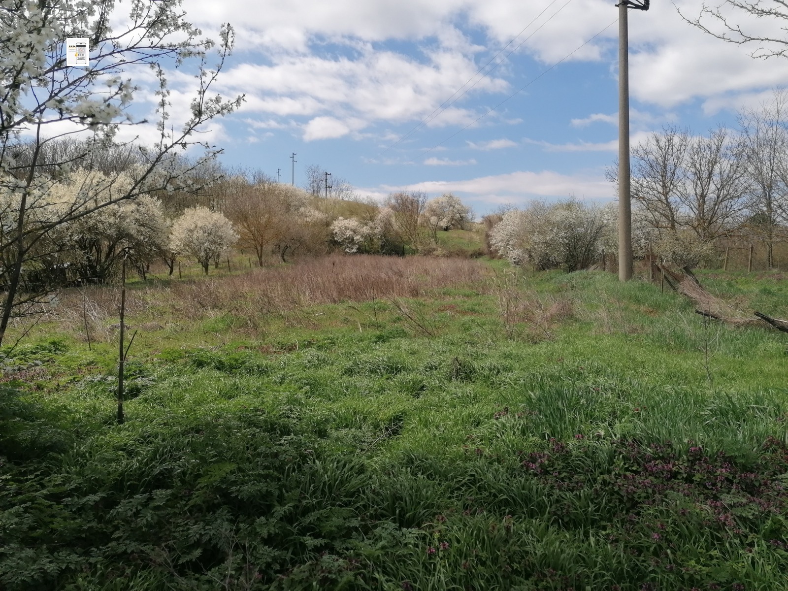 ������� ������ | Imot.bg � ����������� 4