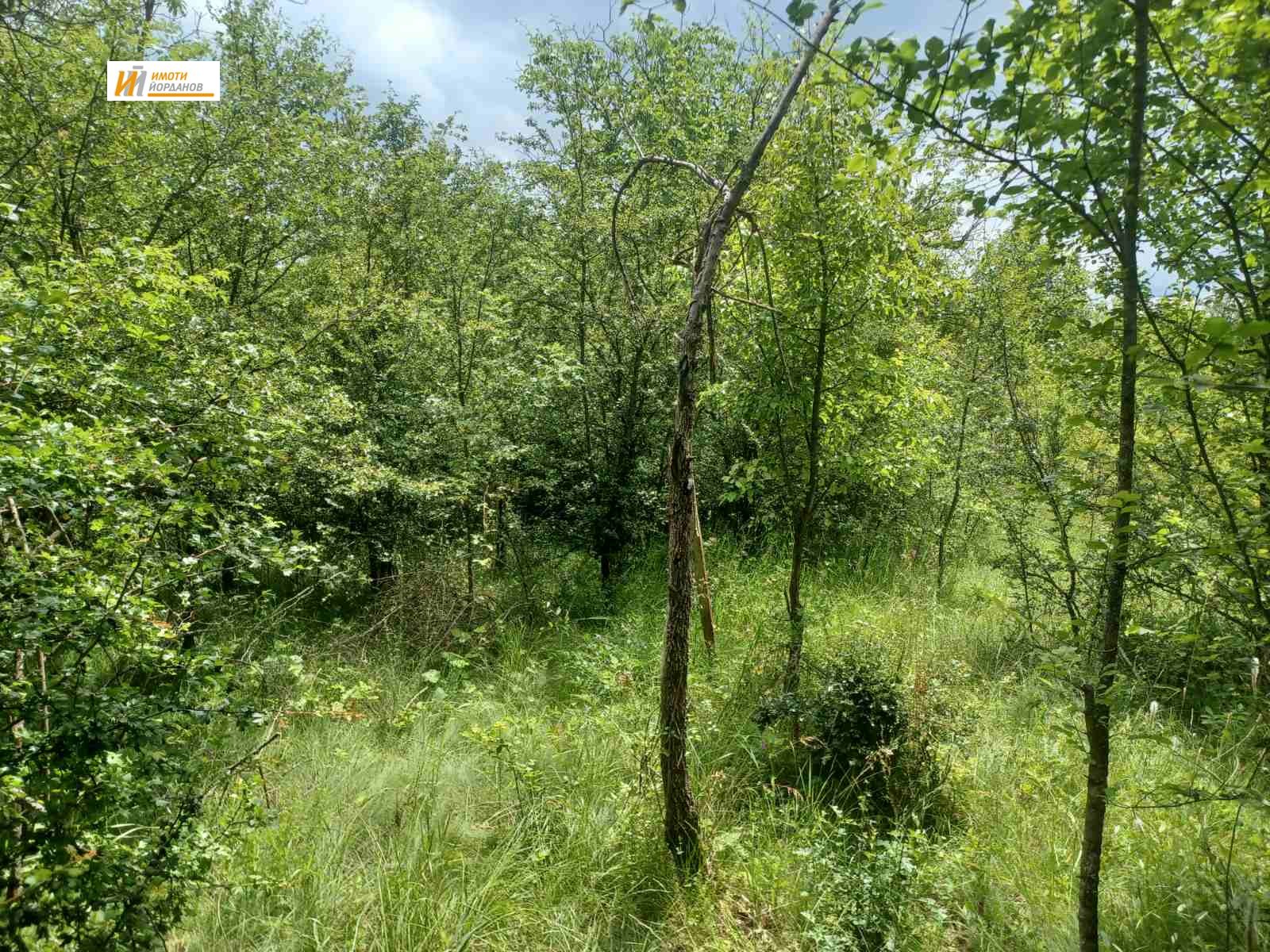 Продава ПАРЦЕЛ, с. Туркинча, област Габрово, снимка 2 - Парцели - 53674615