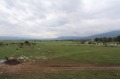Продава 1-СТАЕН, област Благоевград, гр. Разлог • 39500 € • 17892822 — Holmes.bg