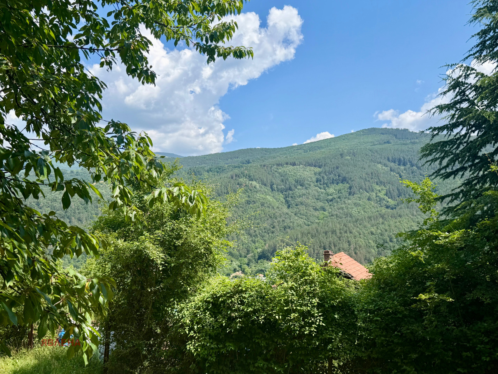 ������� ������ | Imot.bg � ����������� 5