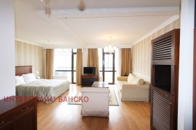 Studio Bansko, region Blagoewgrad 3