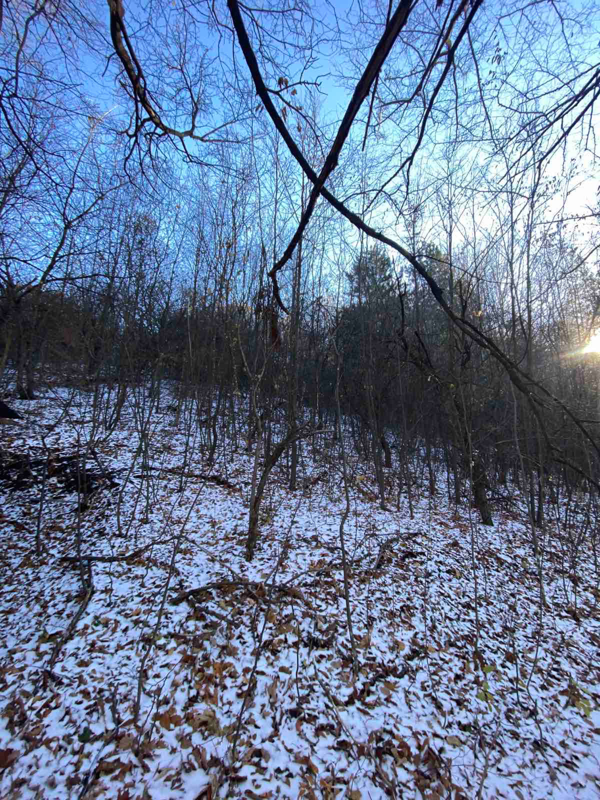 Продава ПАРЦЕЛ | Imot.bg — изображение 1