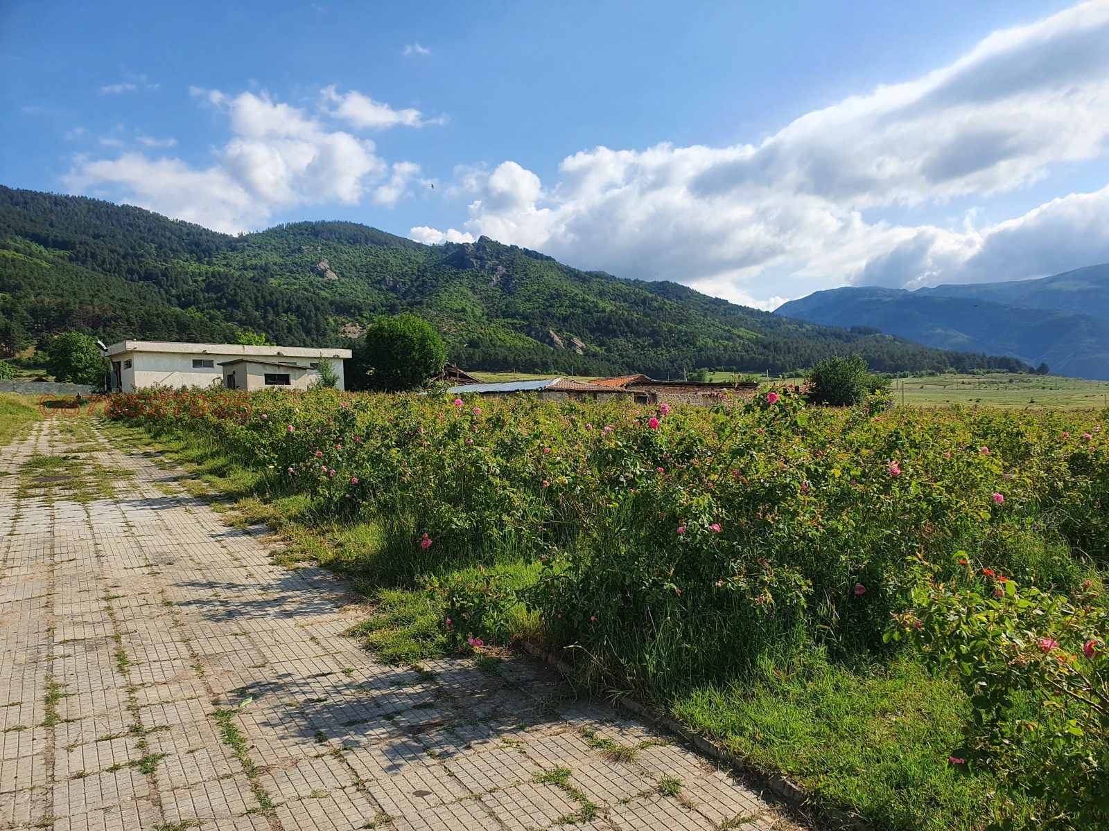 ������� ������������� ������ | Imot.bg � ����������� 4