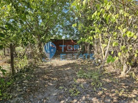 House Alekovo, region Veliko Tarnovo 14