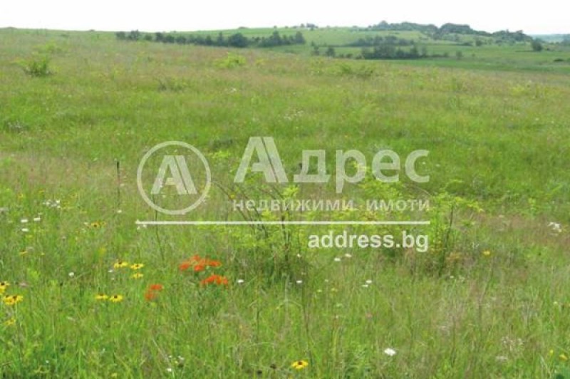 For Sale  Plot Plovdiv , Proslav , 5362 sq.m | 37628990 - image [5]