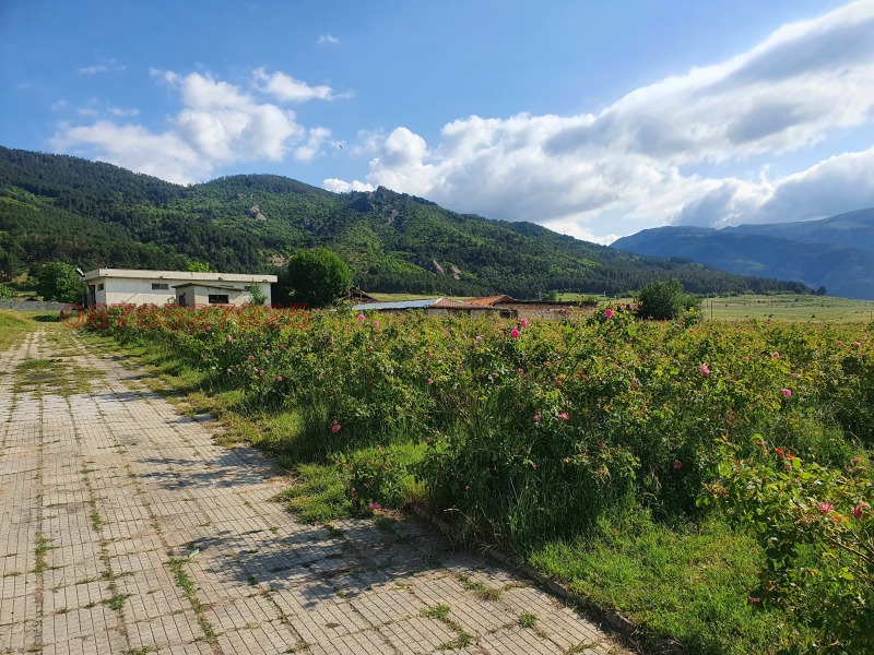 Продава БИЗНЕС ИМОТ, с. Розино, област Пловдив, снимка 4 - Други - 53084090