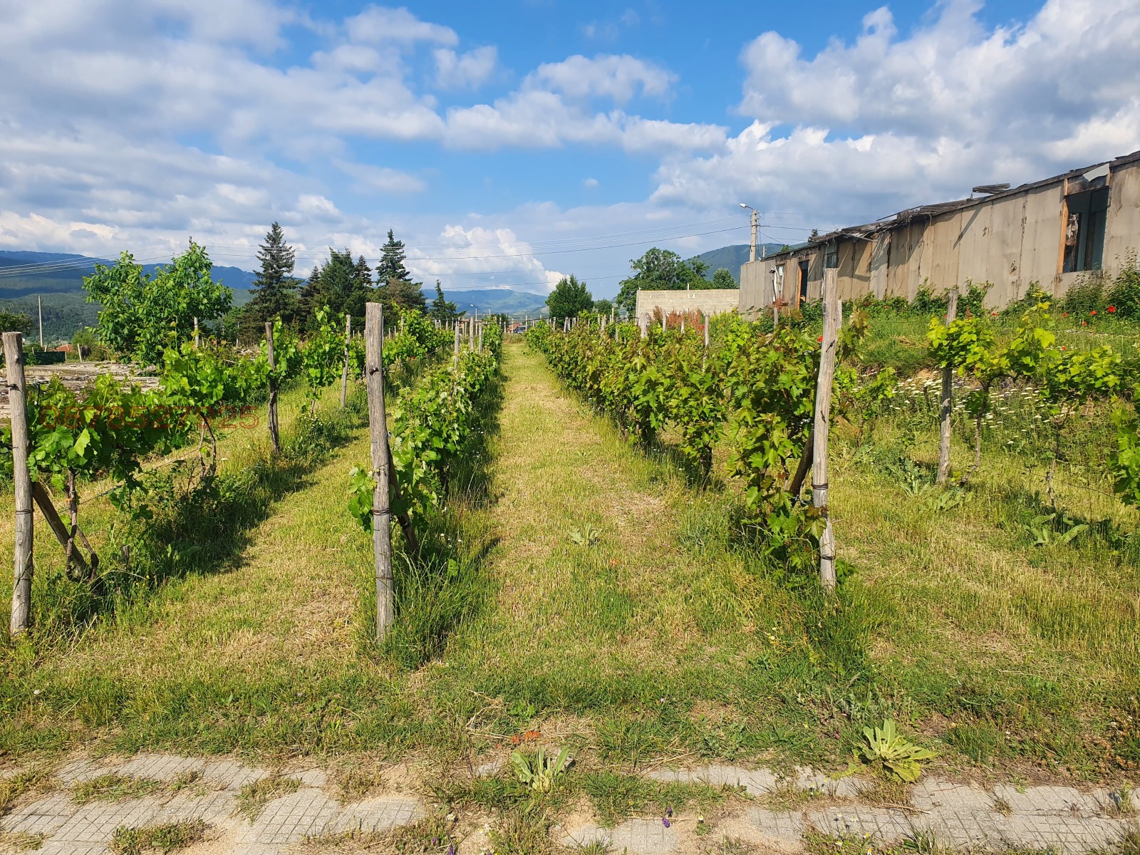 Продава БИЗНЕС ИМОТ, с. Розино, област Пловдив, снимка 5 - Други - 54115140