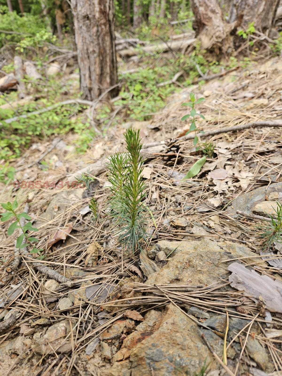 ������� ���������� ���� | Imot.bg � ����������� 3