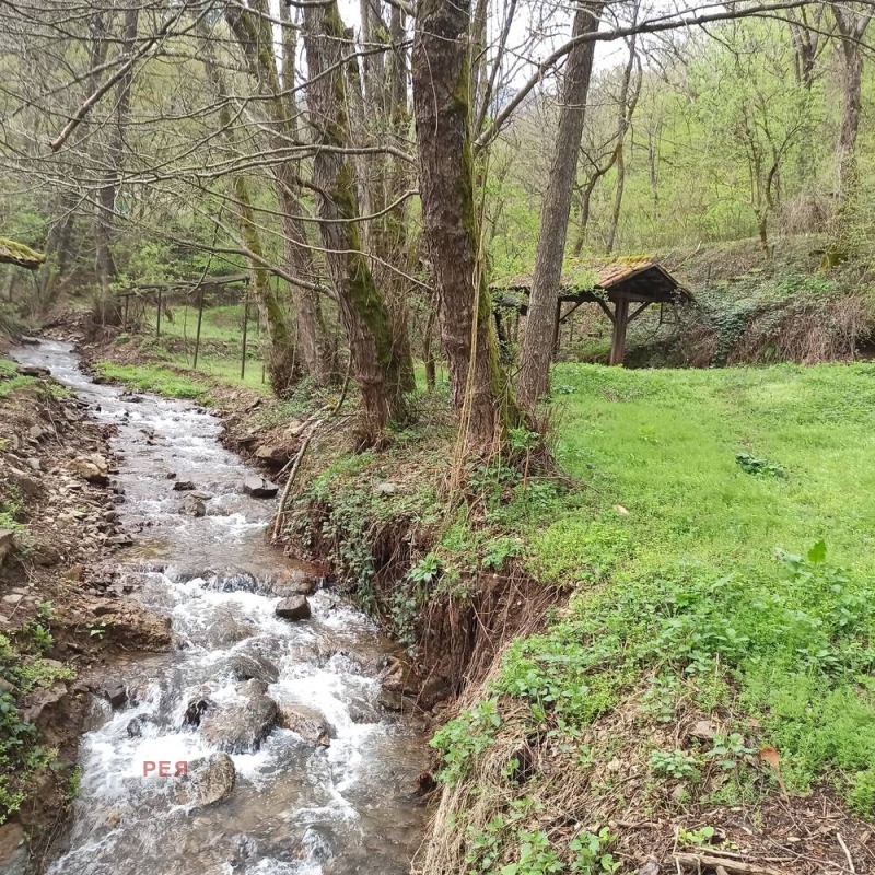 Til salgs  Villa region Sofia , Pravets , 887 kvm | 81321662 - bilde [7]