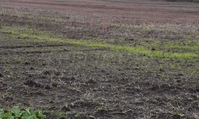 Продава ПАРЦЕЛ, гр. Бургас, Крайморие, снимка 10 - Парцели - 52420954