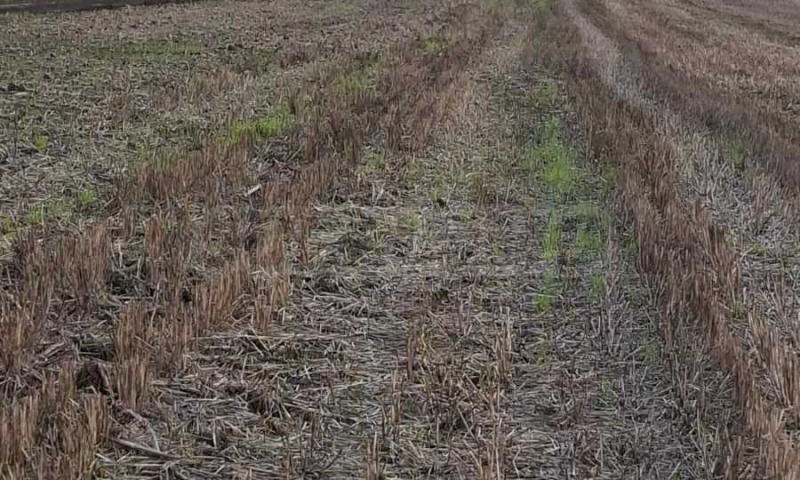 Продава ПАРЦЕЛ, гр. Бургас, Крайморие, снимка 15 - Парцели - 52420954