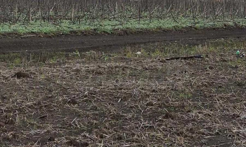 Продава ПАРЦЕЛ, гр. Бургас, Крайморие, снимка 4 - Парцели - 52420954