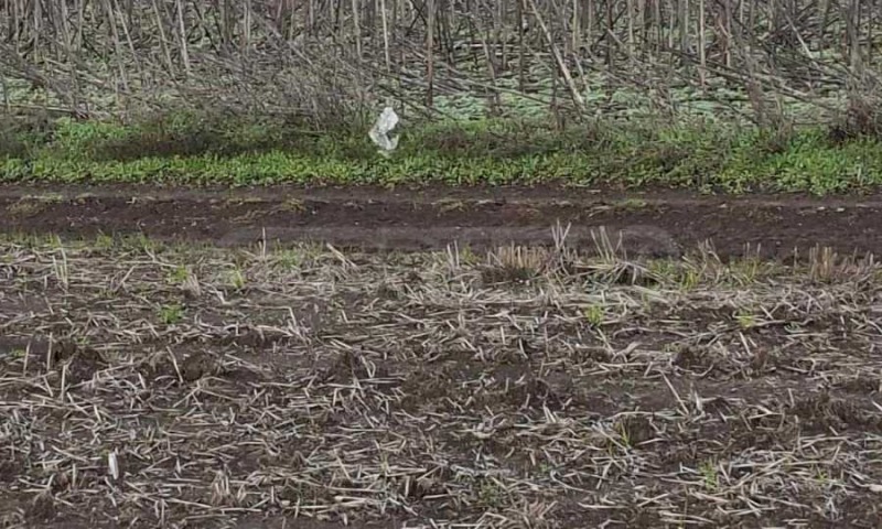 Продава ПАРЦЕЛ, гр. Бургас, Крайморие, снимка 14 - Парцели - 52420954