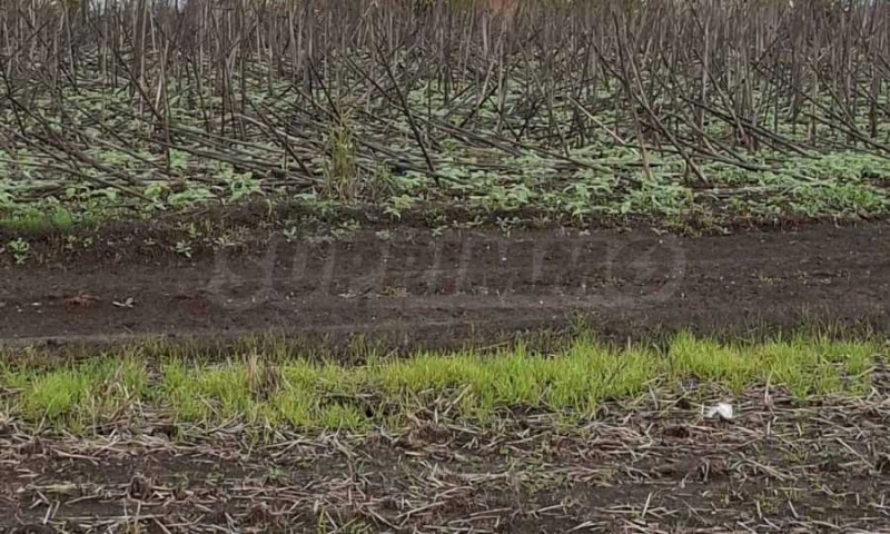 Продава ПАРЦЕЛ, гр. Бургас, Крайморие, снимка 11 - Парцели - 52420954