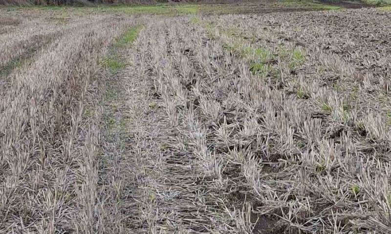 Продава ПАРЦЕЛ, гр. Бургас, Крайморие, снимка 16 - Парцели - 52420954