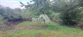 Продава ПАРЦЕЛ, гр. София, гр. Банкя, снимка 3