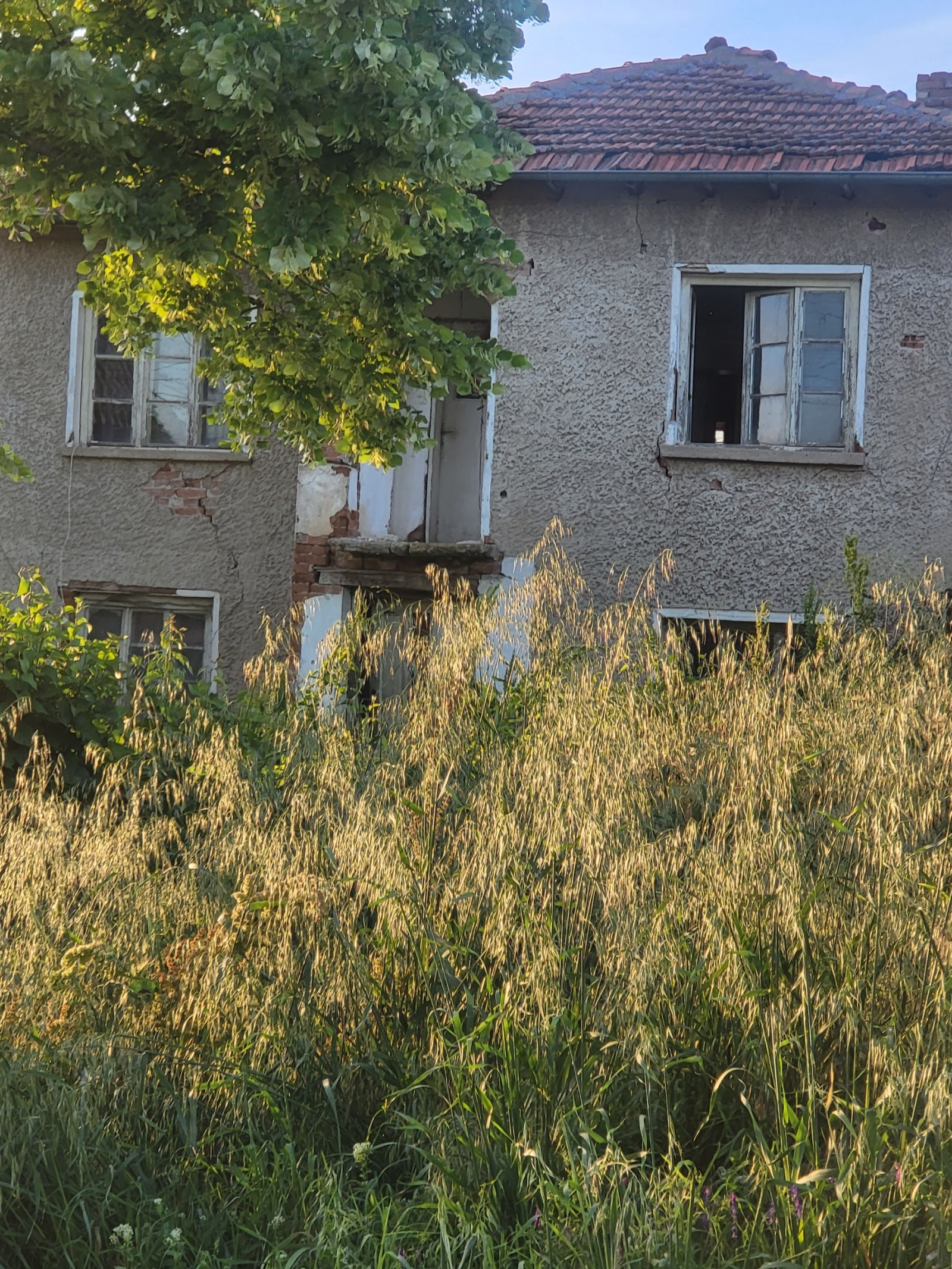Продава КЪЩА, с. Радишево, област Плевен, снимка 6 - Къщи - 54737280