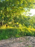 Продава КЪЩА, с. Радишево, област Плевен, снимка 16