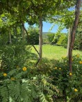 Продава КЪЩА, с. Винарово, област Стара Загора, снимка 3