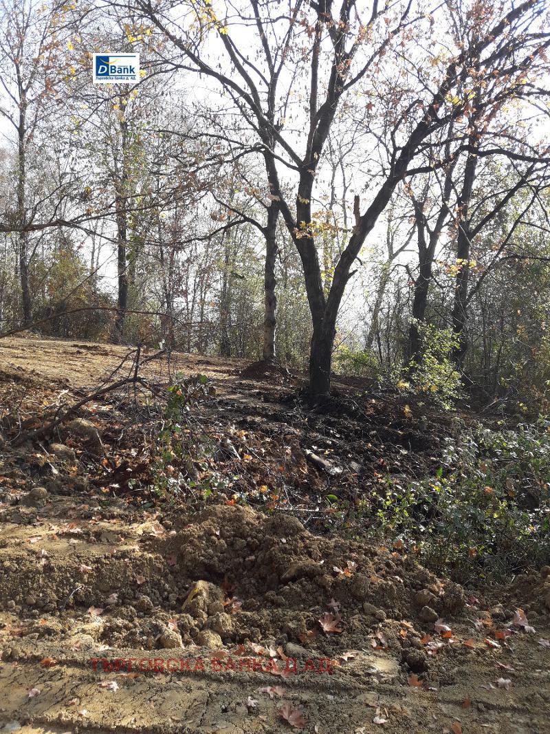 Продава ПАРЦЕЛ | Imot.bg — изображение 2