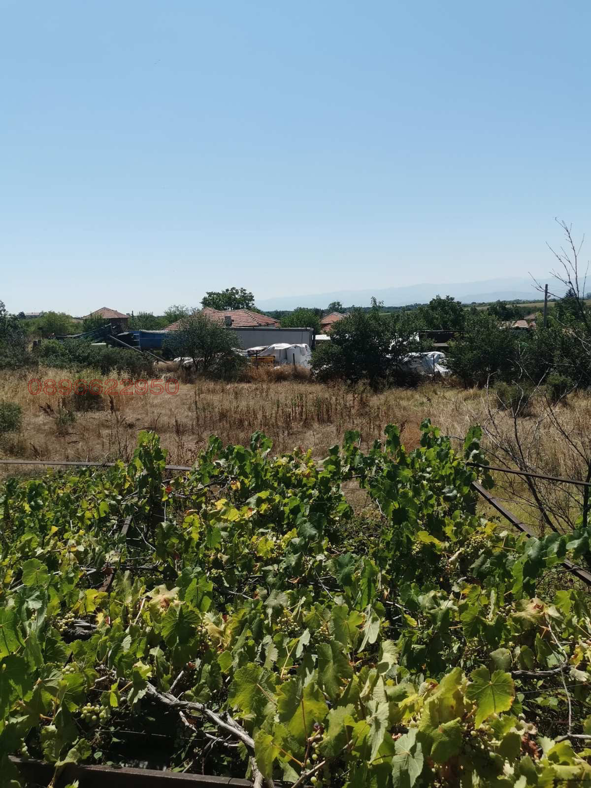 ������� ���� | Imot.bg � ����������� 5