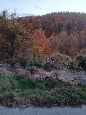 Handlung Stolat, region Gabrovo 4