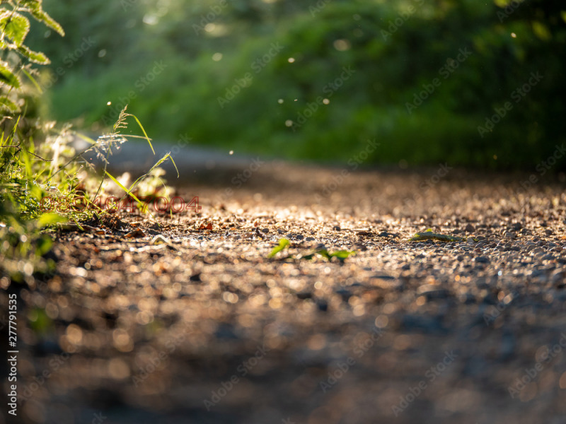 Продава ПАРЦЕЛ, гр. София, Бояна