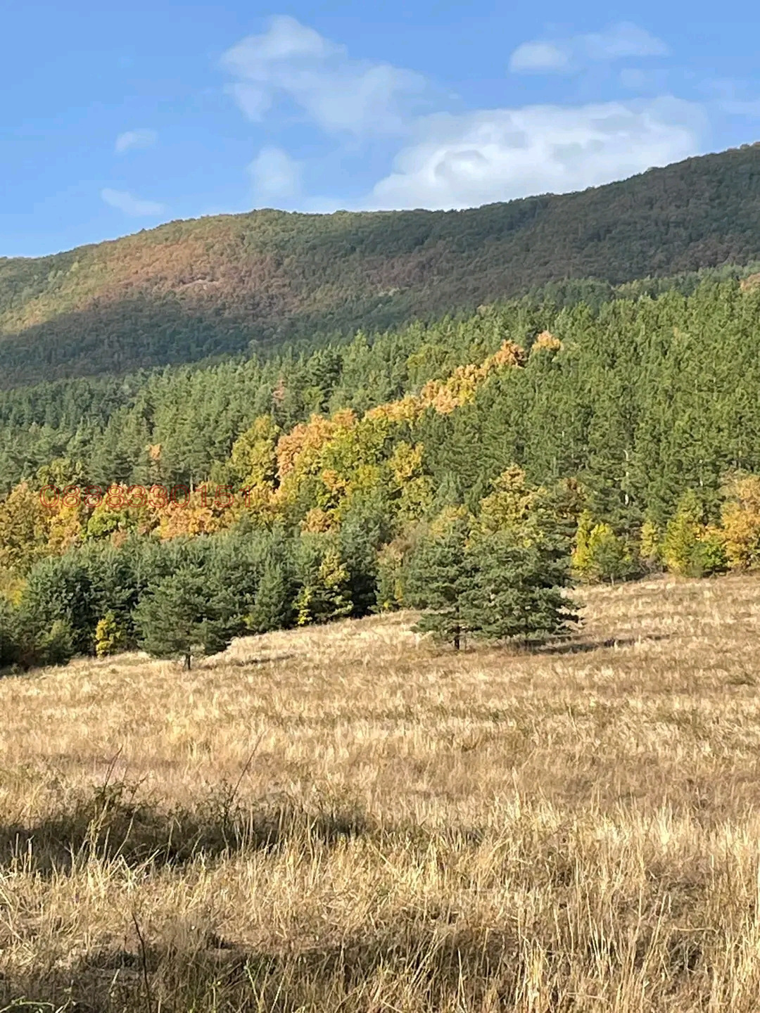 Продава ПАРЦЕЛ | Imot.bg — изображение 7